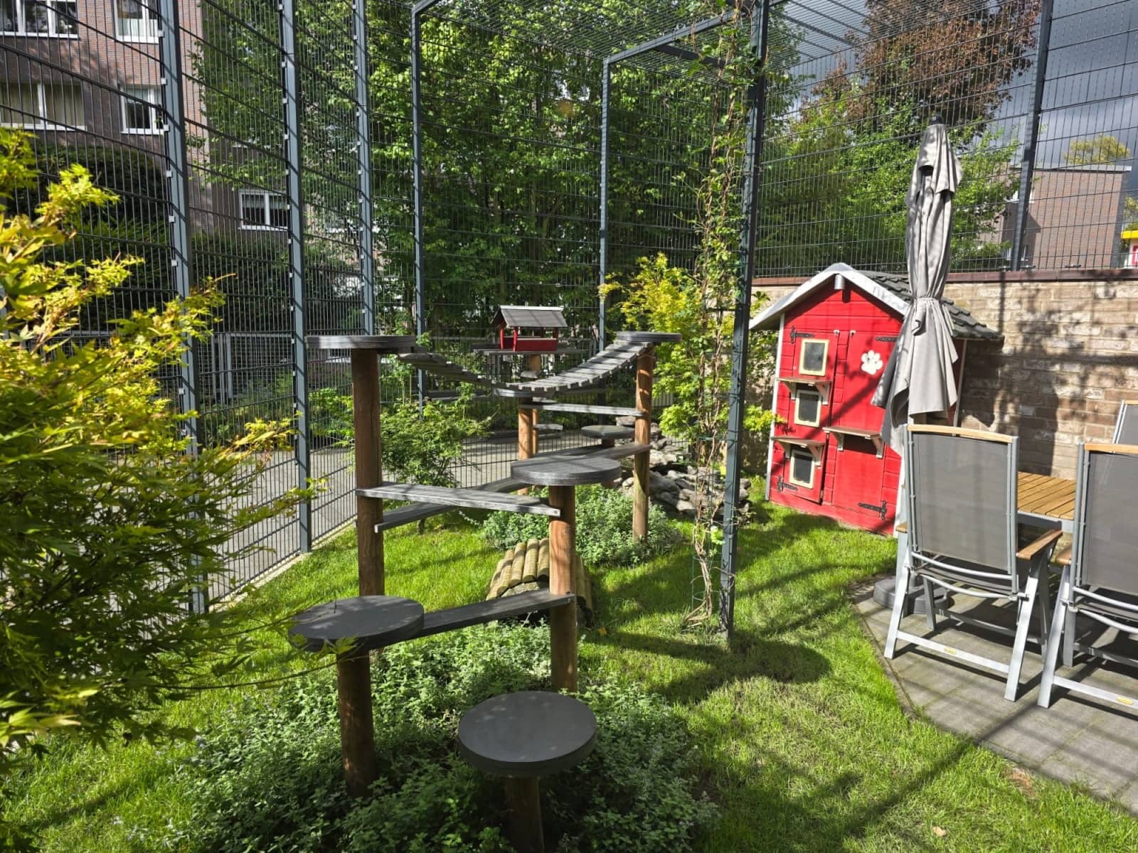 Sonniger Garten mit rotem Katzenhaus