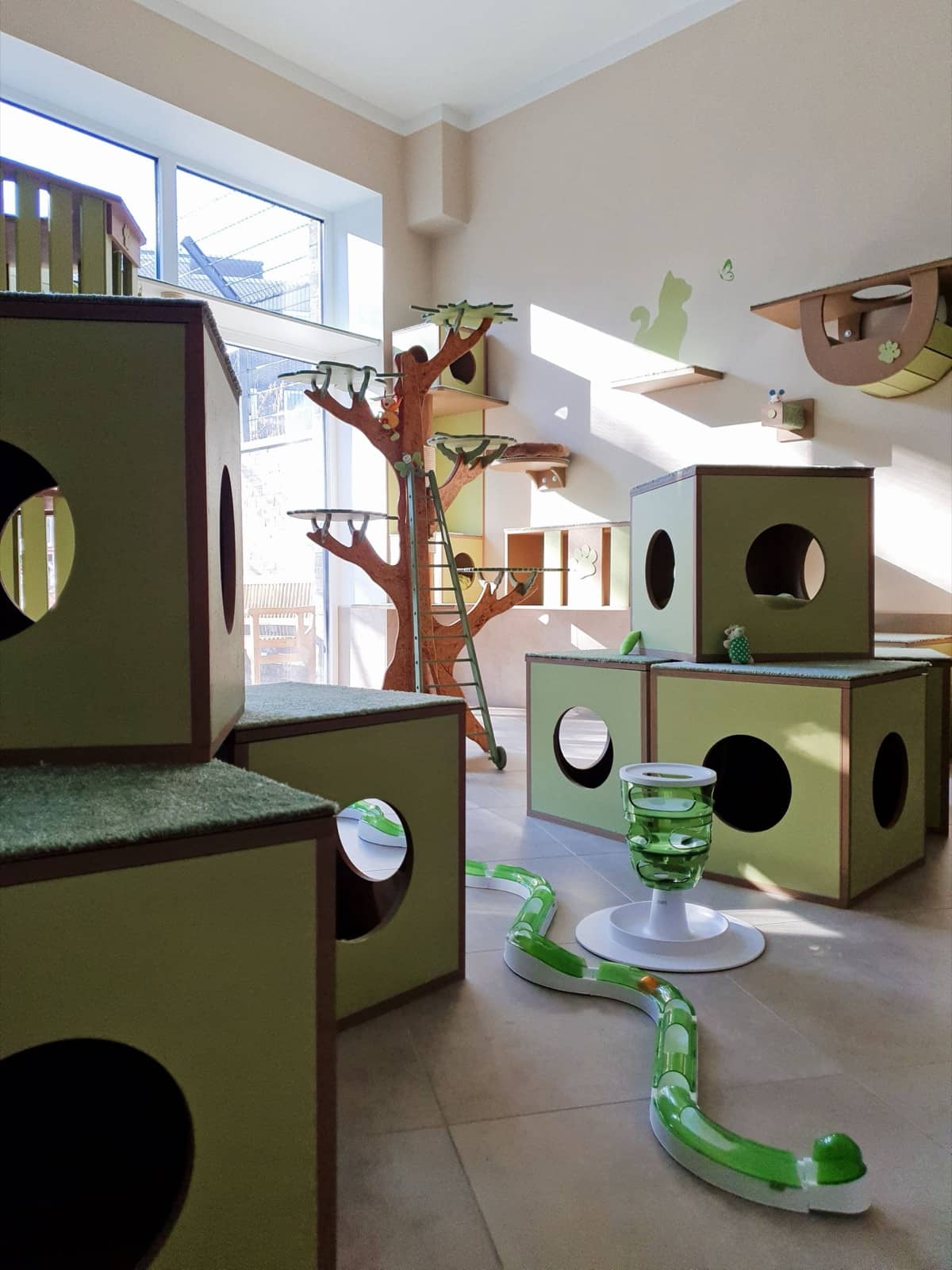 Helles Gruppenzimmer mit grünen Katzenmöbeln und Kletterbaum