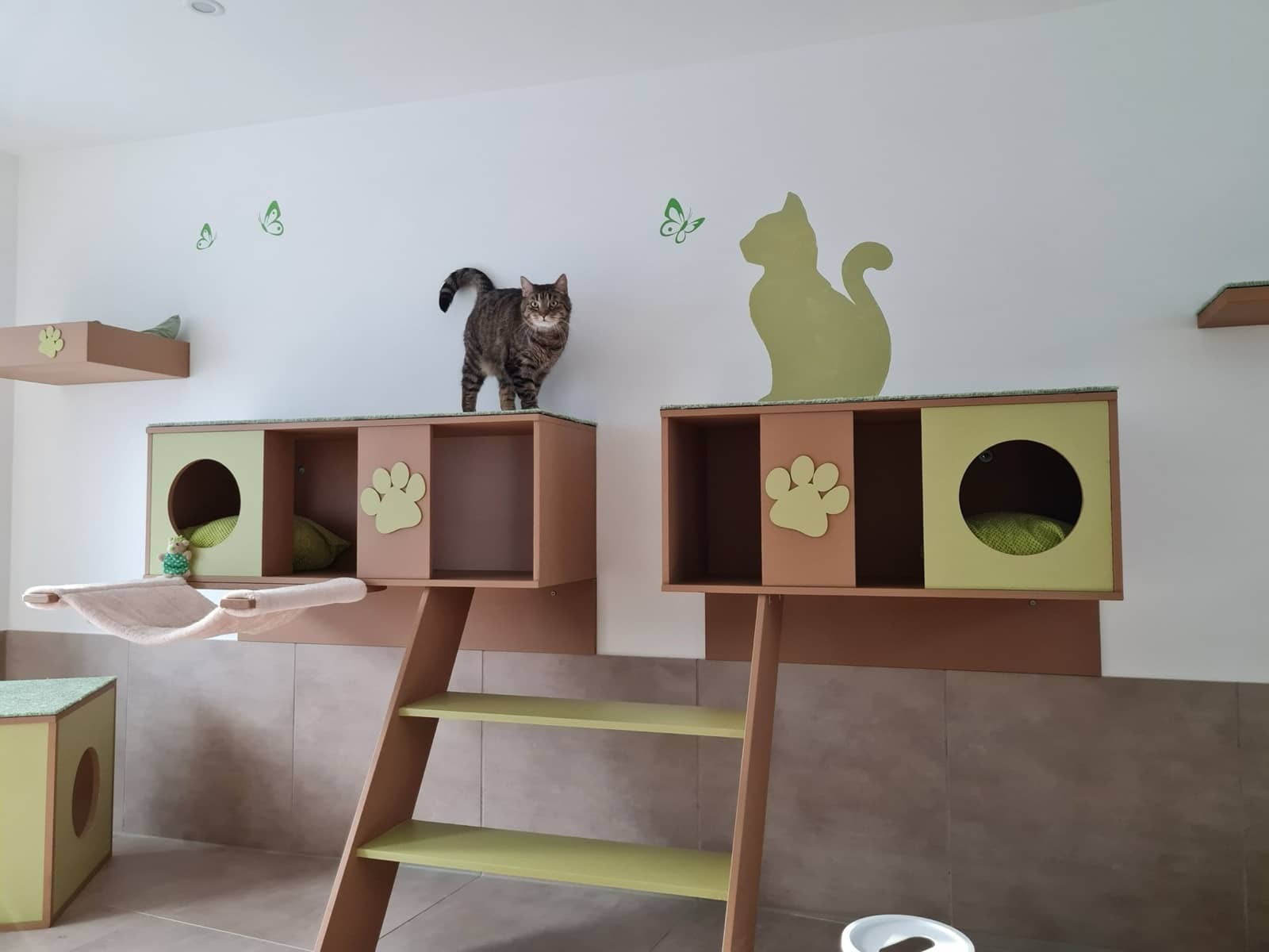 Cat-Walk und Liegeplätze im Katzentraum