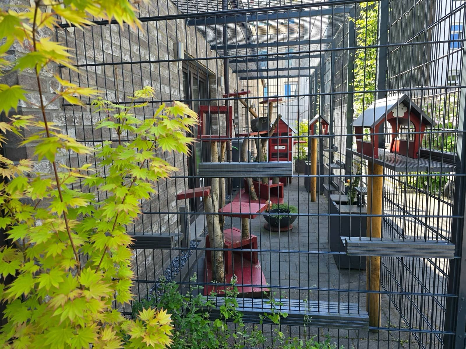 Das große Gruppenzimmer mit gesichertem Außengehege